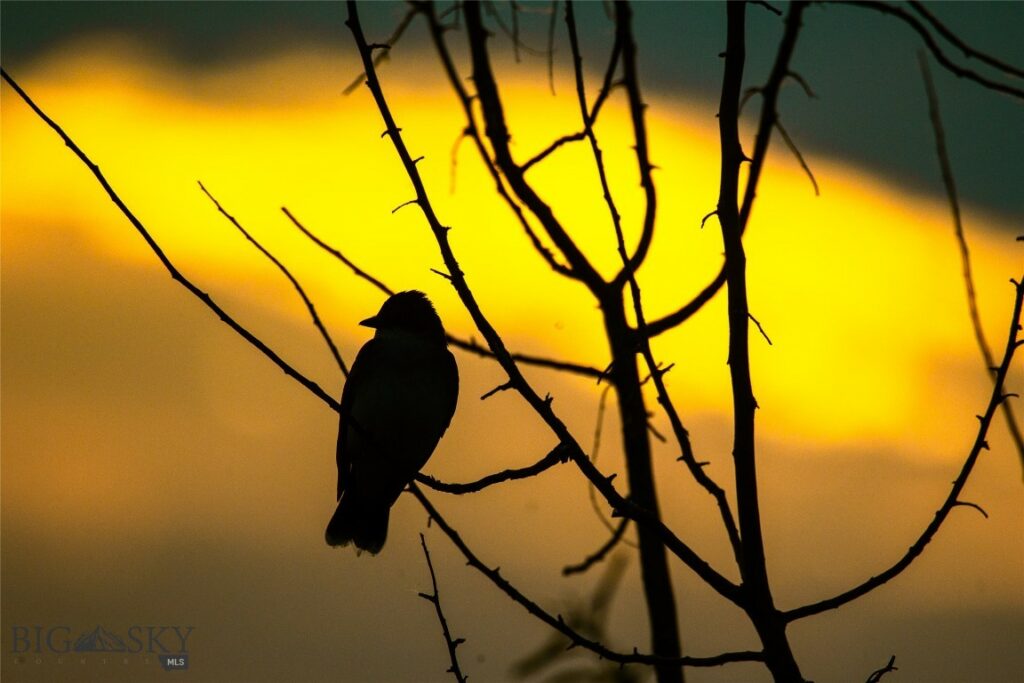 NHN Old Hwy 10, Forsyth MT 59327