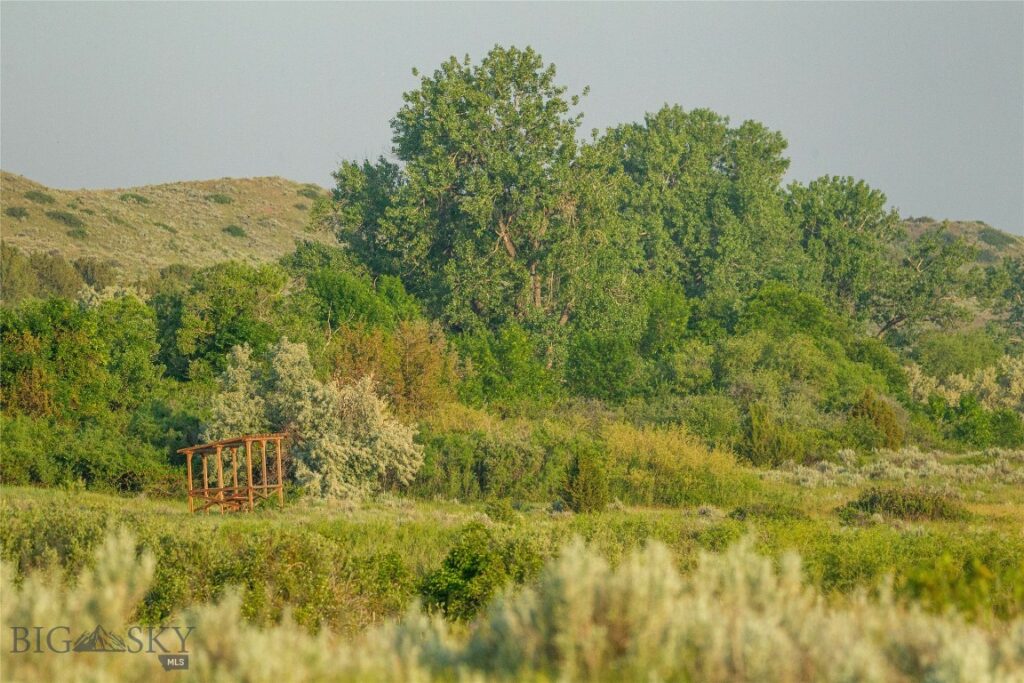 NHN Old Hwy 10, Forsyth MT 59327