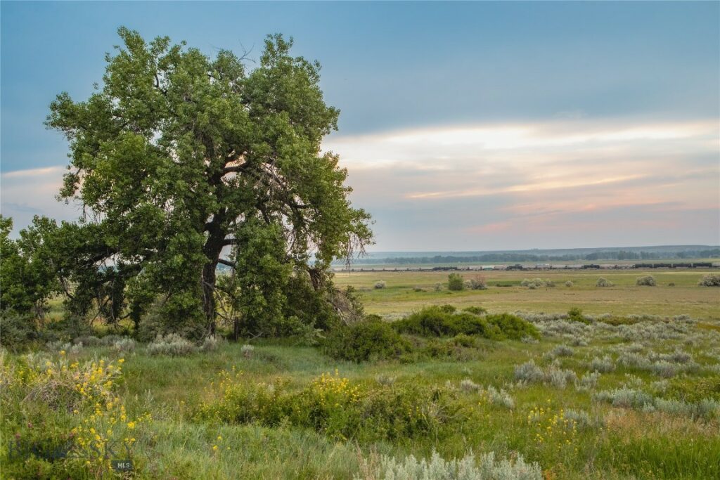 NHN Old Hwy 10, Forsyth MT 59327