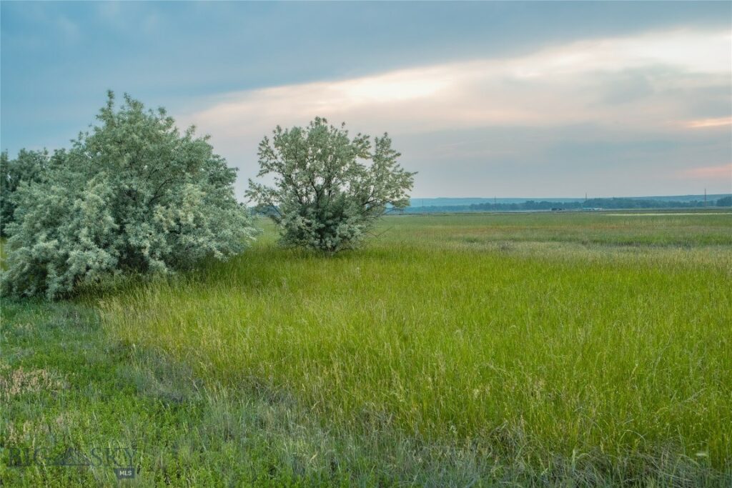 NHN Old Hwy 10, Forsyth MT 59327