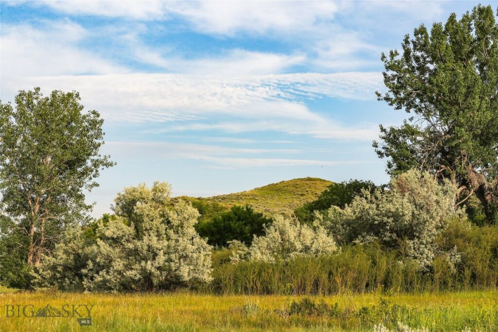 NHN Old Hwy 10, Forsyth MT 59327