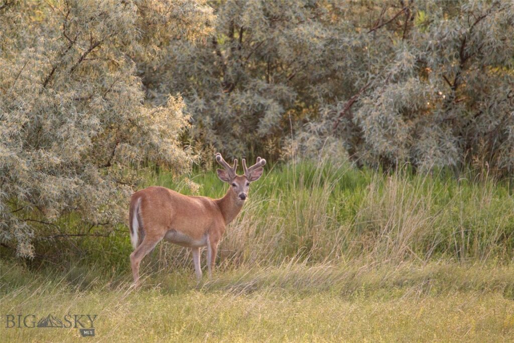 NHN Old Hwy 10, Forsyth MT 59327