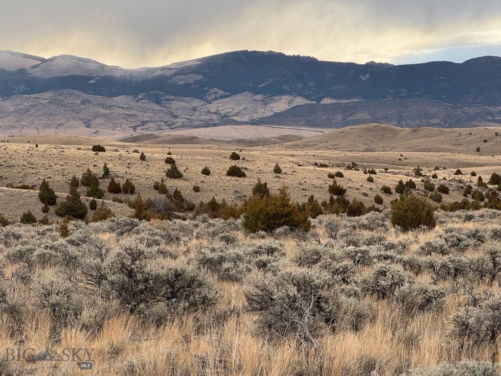 TBD Sheep Camp Road, Whitehall MT 59759