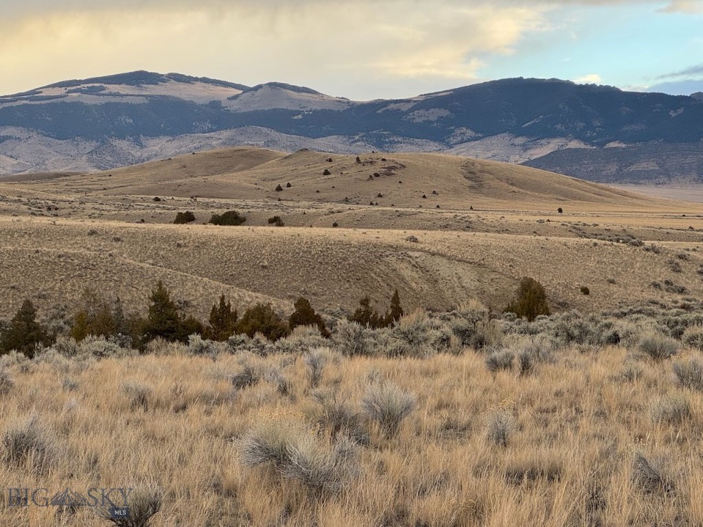 TBD Sheep Camp Road, Whitehall MT 59759