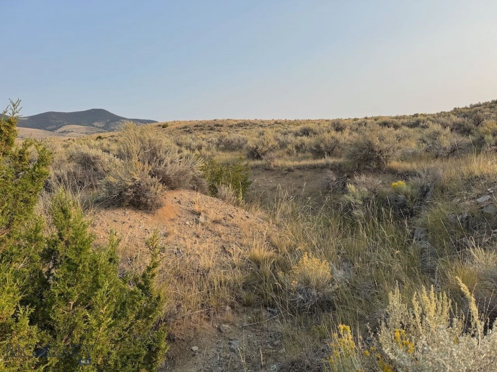 TBD Sheep Camp Road, Whitehall MT 59759