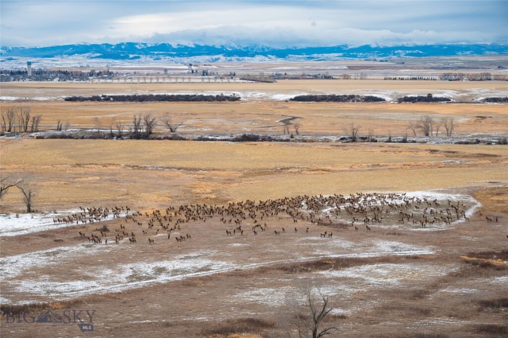 499 Saddle Ridge Road, Manhattan MT 59741