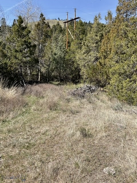 TBD Friendspring Road, Whitehall MT 59759