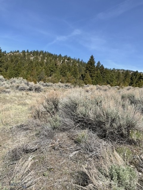 TBD Friendspring Road, Whitehall MT 59759