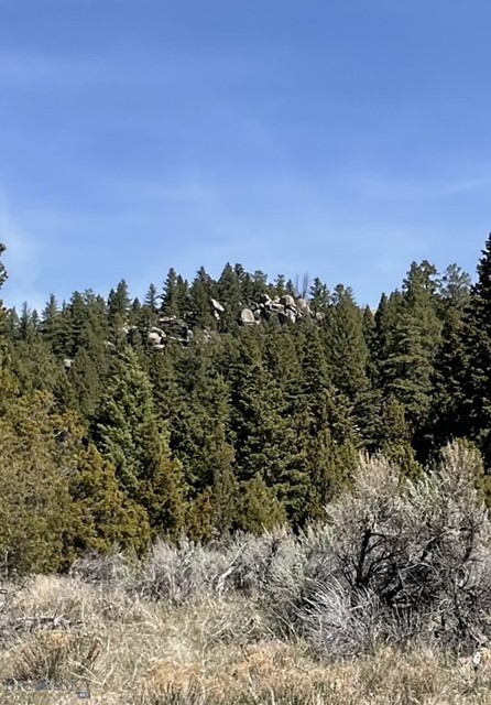 TBD Friendspring Road, Whitehall MT 59759