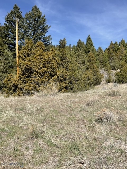 TBD Friendspring Road, Whitehall MT 59759