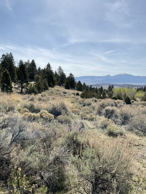 TBD Friendspring Road, Whitehall MT 59759