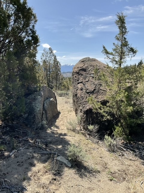 TBD Friendspring Road, Whitehall MT 59759