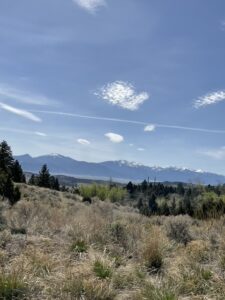 Unknown - 1