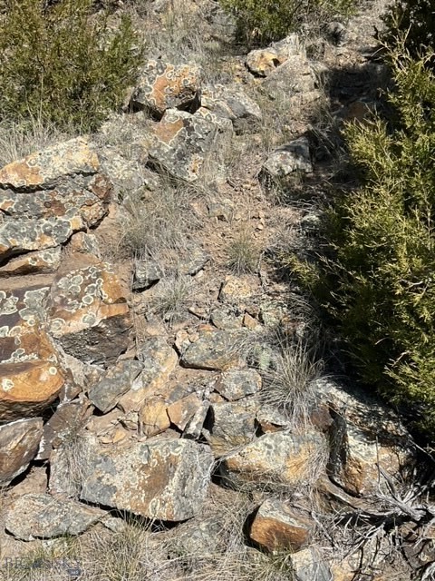 TBD Friendspring Road, Whitehall MT 59759