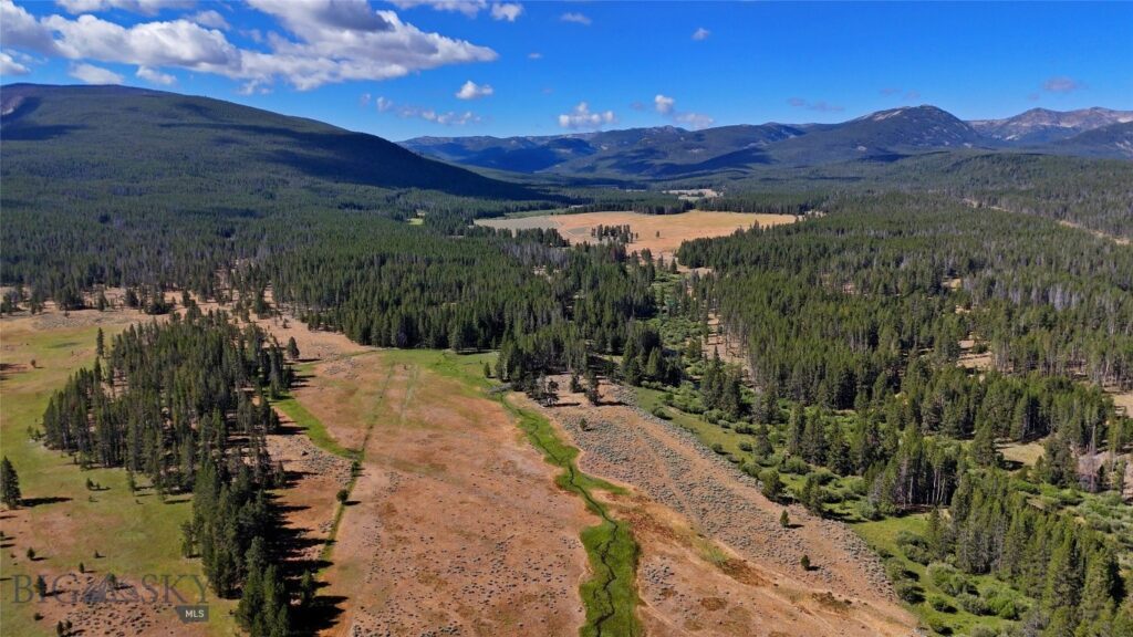 11203 Skinners Meadows Road Road, Jackson MT 59736