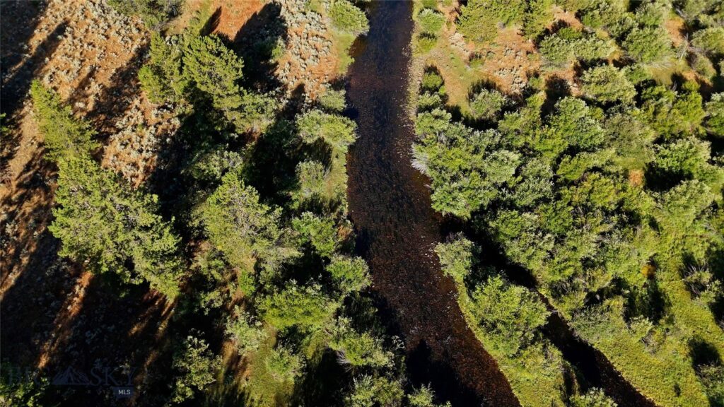 11203 Skinners Meadows Road Road, Jackson MT 59736