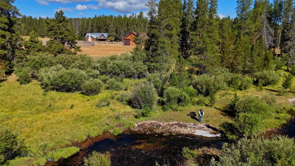 11203 Skinners Meadows Road Road, Jackson MT 59736