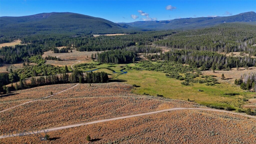 11203 Skinners Meadows Road Road, Jackson MT 59736