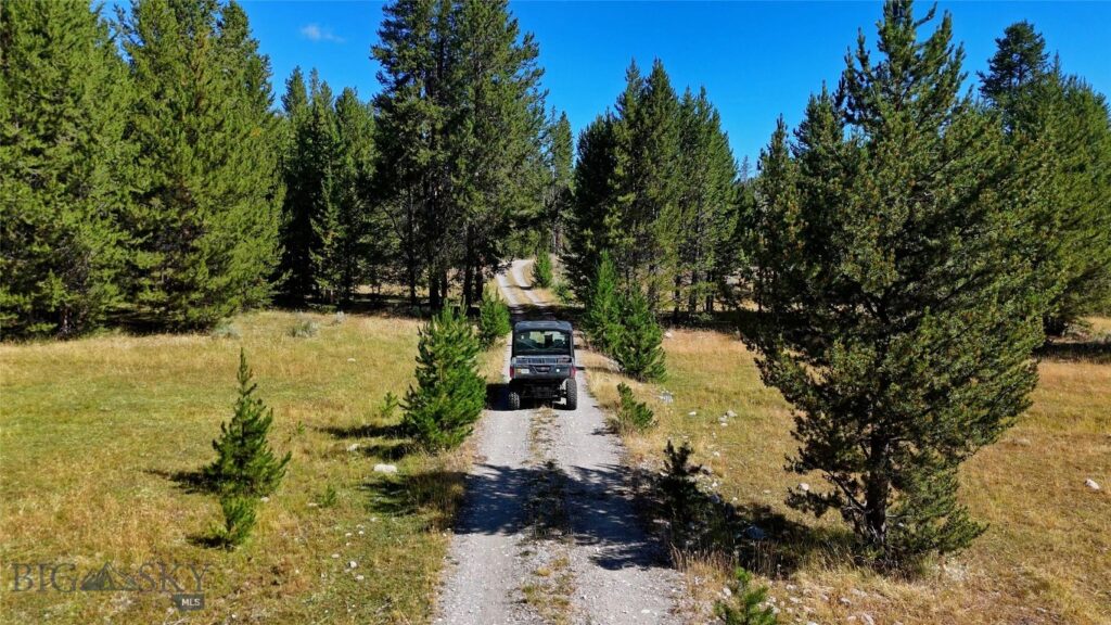 11203 Skinners Meadows Road Road, Jackson MT 59736