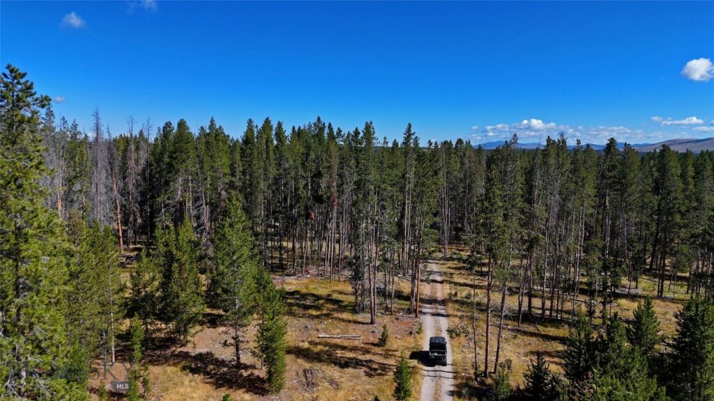 11203 Skinners Meadows Road Road, Jackson MT 59736