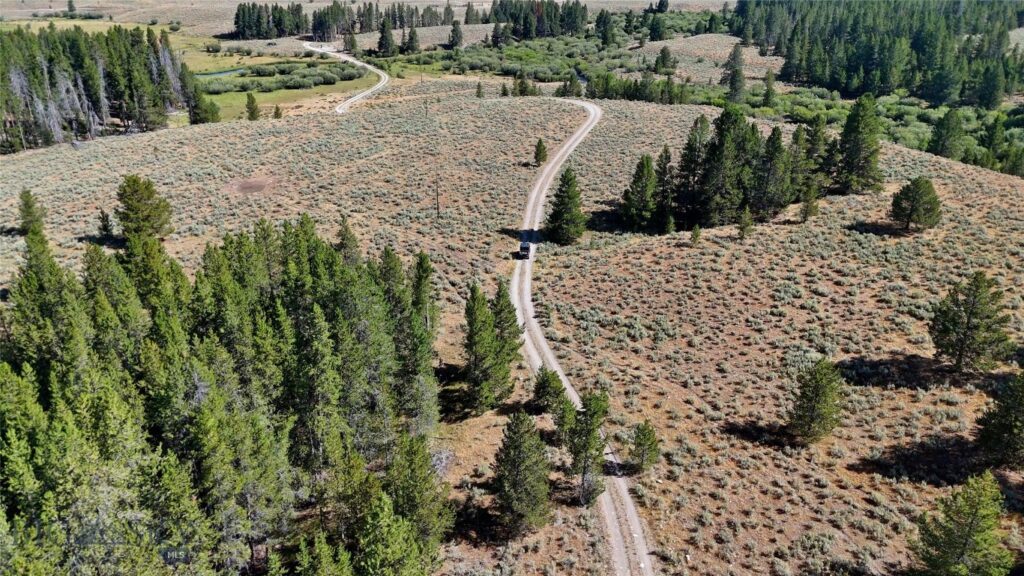 11203 Skinners Meadows Road Road, Jackson MT 59736