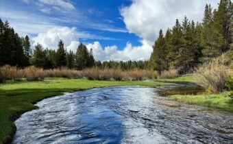 11203 Skinners Meadows Road Road, Jackson MT 59736