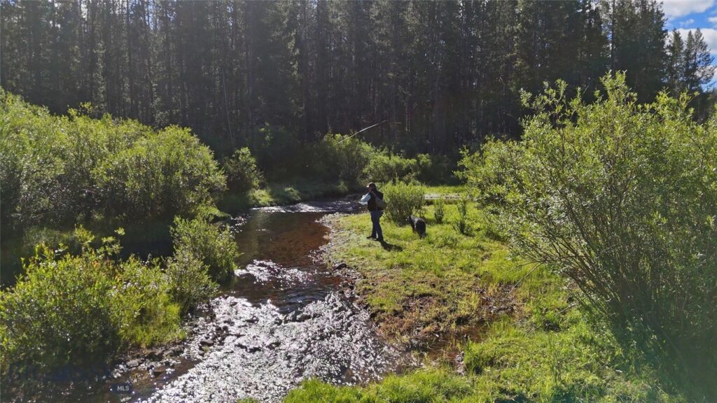 11203 Skinners Meadows Road Road, Jackson MT 59736