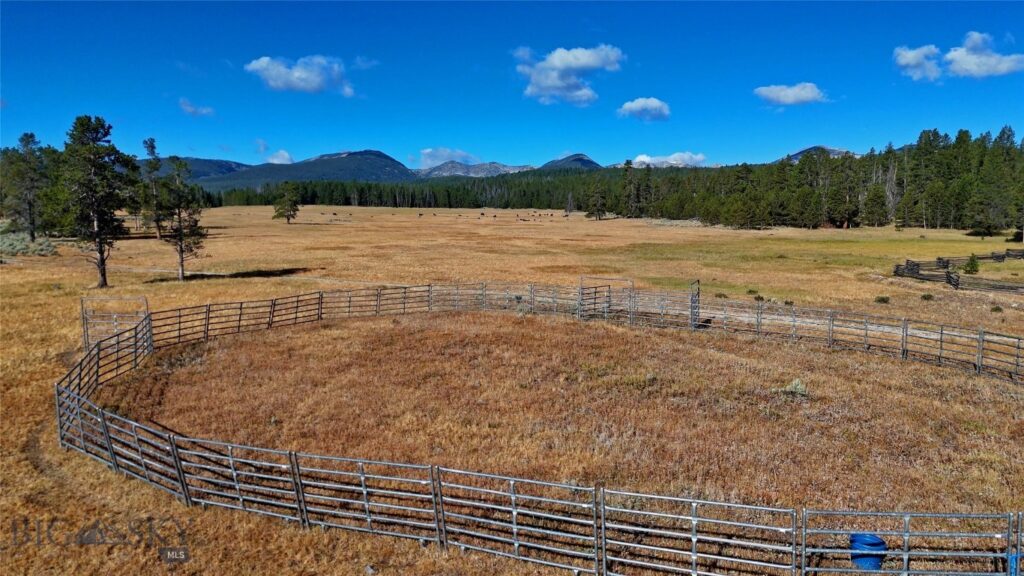 11203 Skinners Meadows Road Road, Jackson MT 59736