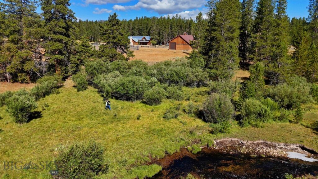 11203 Skinners Meadows Road Road, Jackson MT 59736