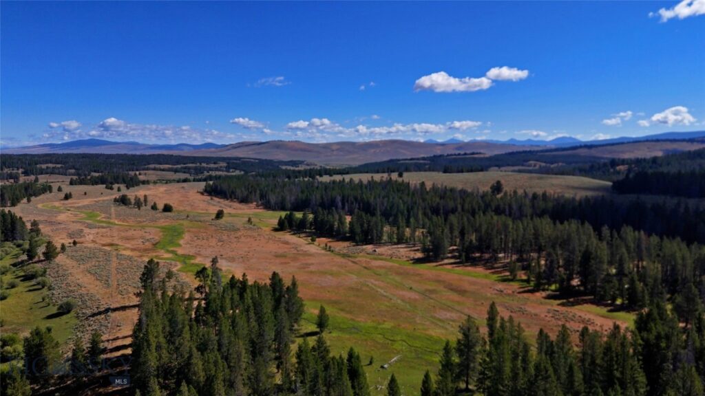 11203 Skinners Meadows Road Road, Jackson MT 59736