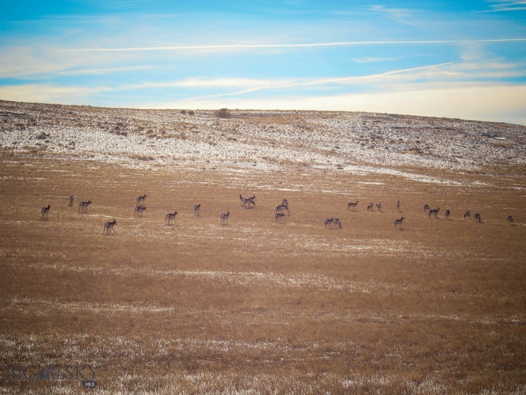 3000 Nixon Gulch Road, Manhattan MT 59741
