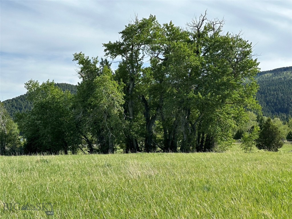 9 Willow View Way, McAllister MT 59740