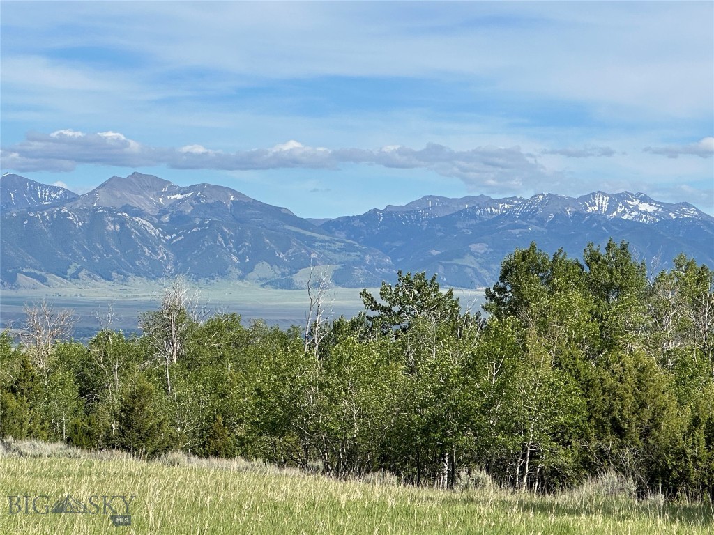 9 Willow View Way, McAllister MT 59740