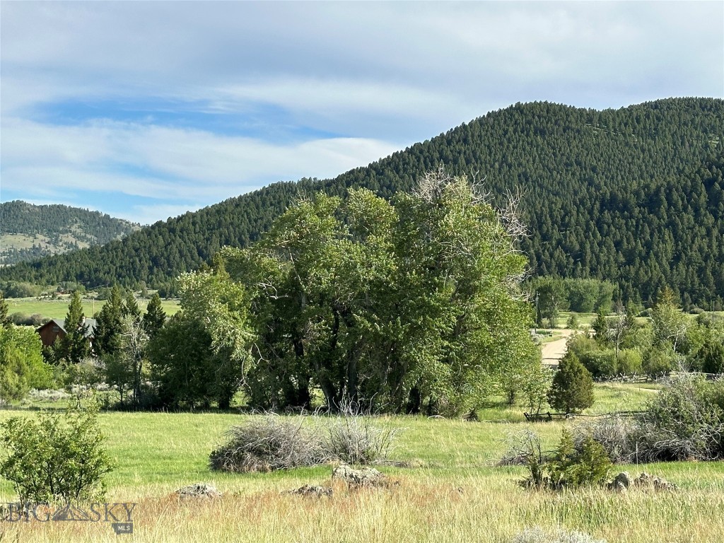 9 Willow View Way, McAllister MT 59740