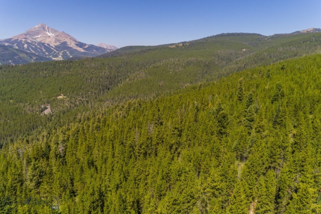 TBD Ridge Fork Road, Big Sky MT 59716