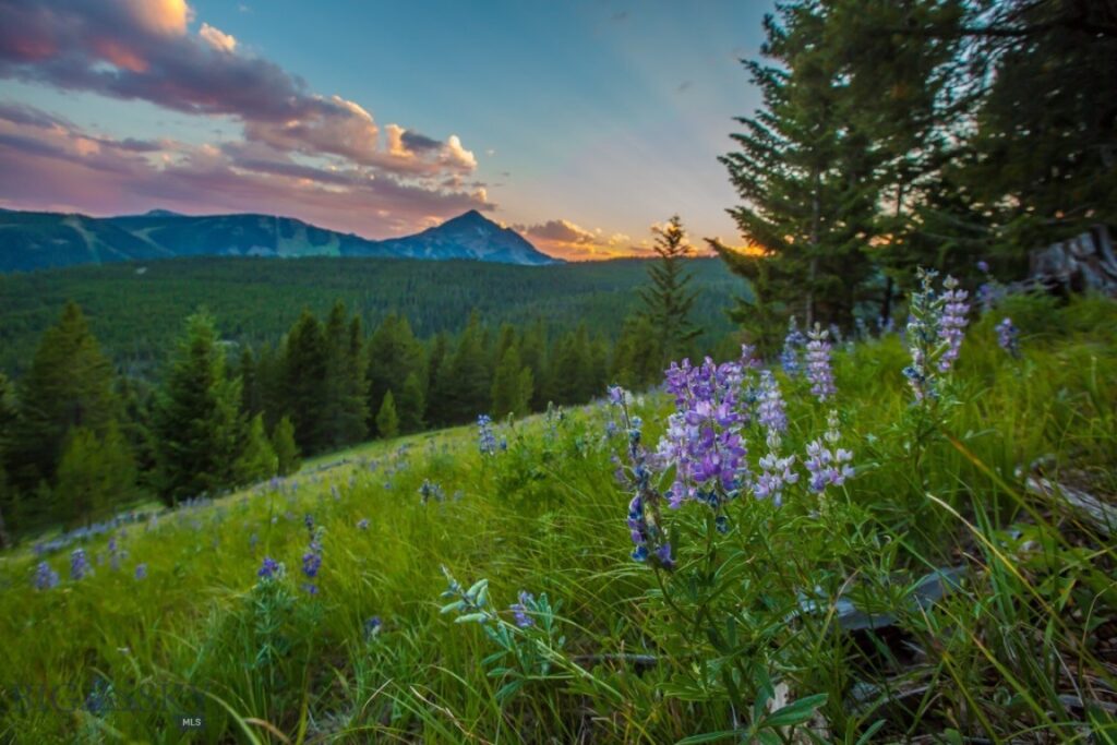 TBD Ridge Fork Road, Big Sky MT 59716