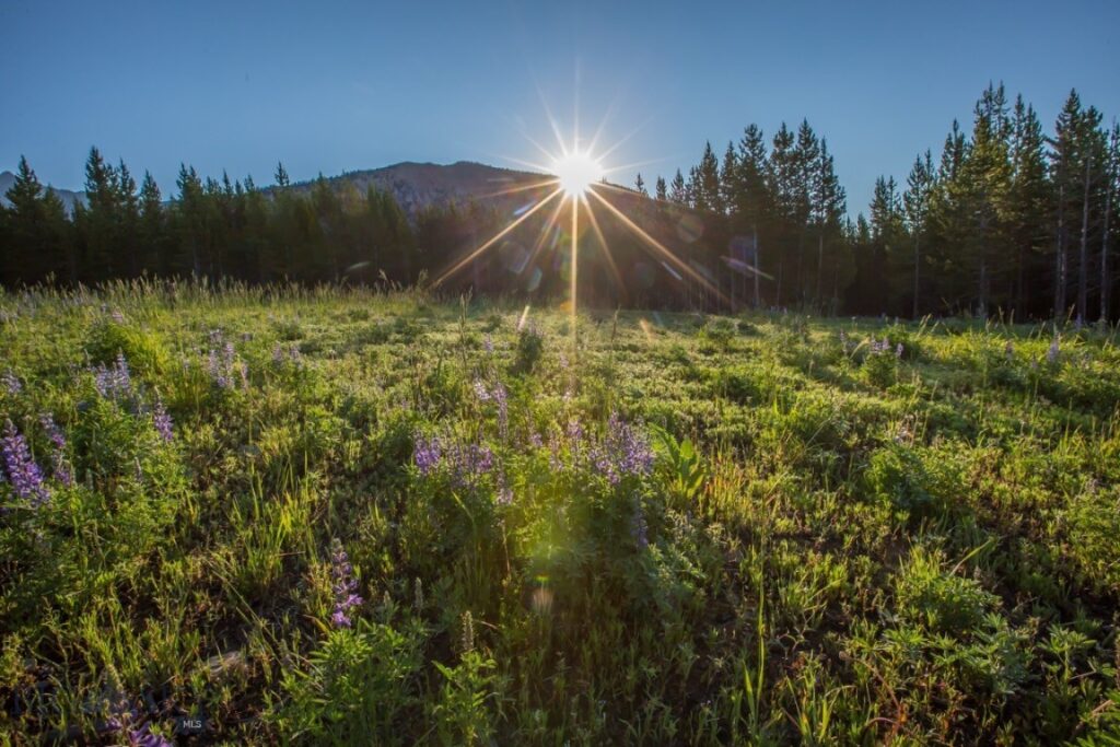 TBD Ridge Fork Road, Big Sky MT 59716