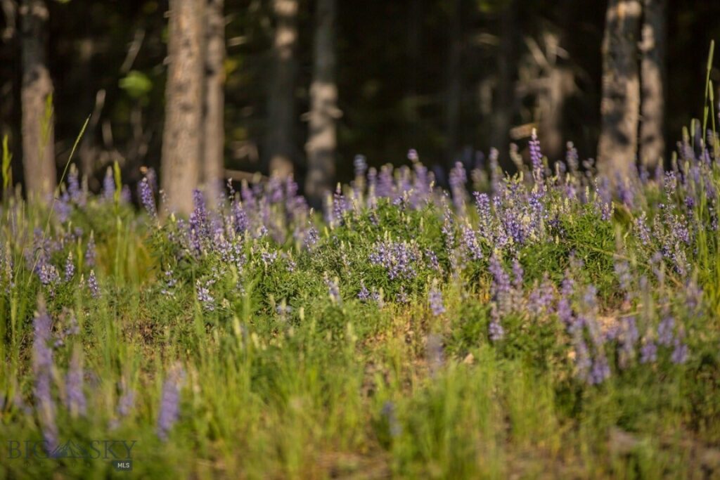 TBD Ridge Fork Road, Big Sky MT 59716