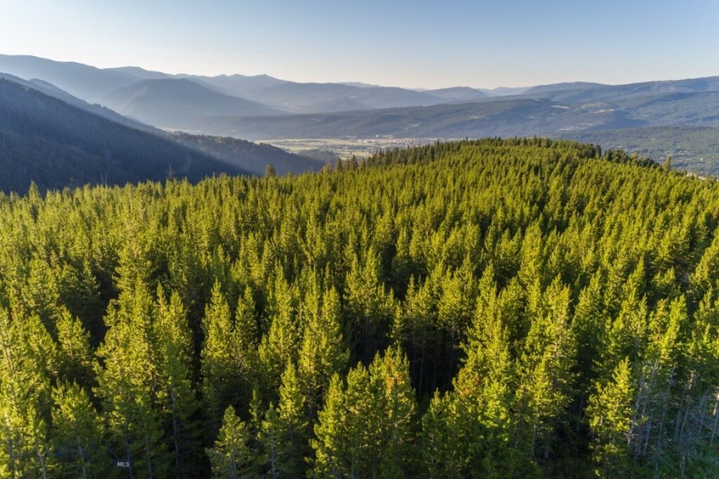 TBD Ridge Fork Road, Big Sky MT 59716