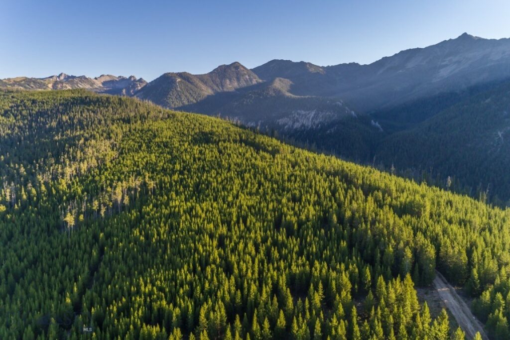 TBD Ridge Fork Road, Big Sky MT 59716