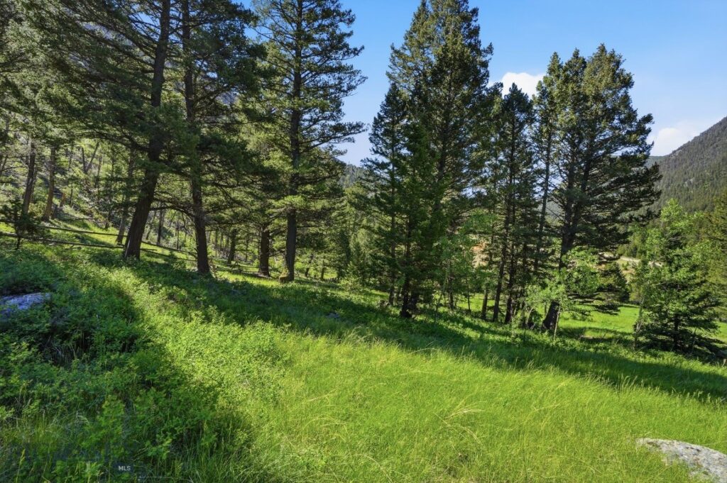 1105 South Boulder Rd, Cardwell MT 59721