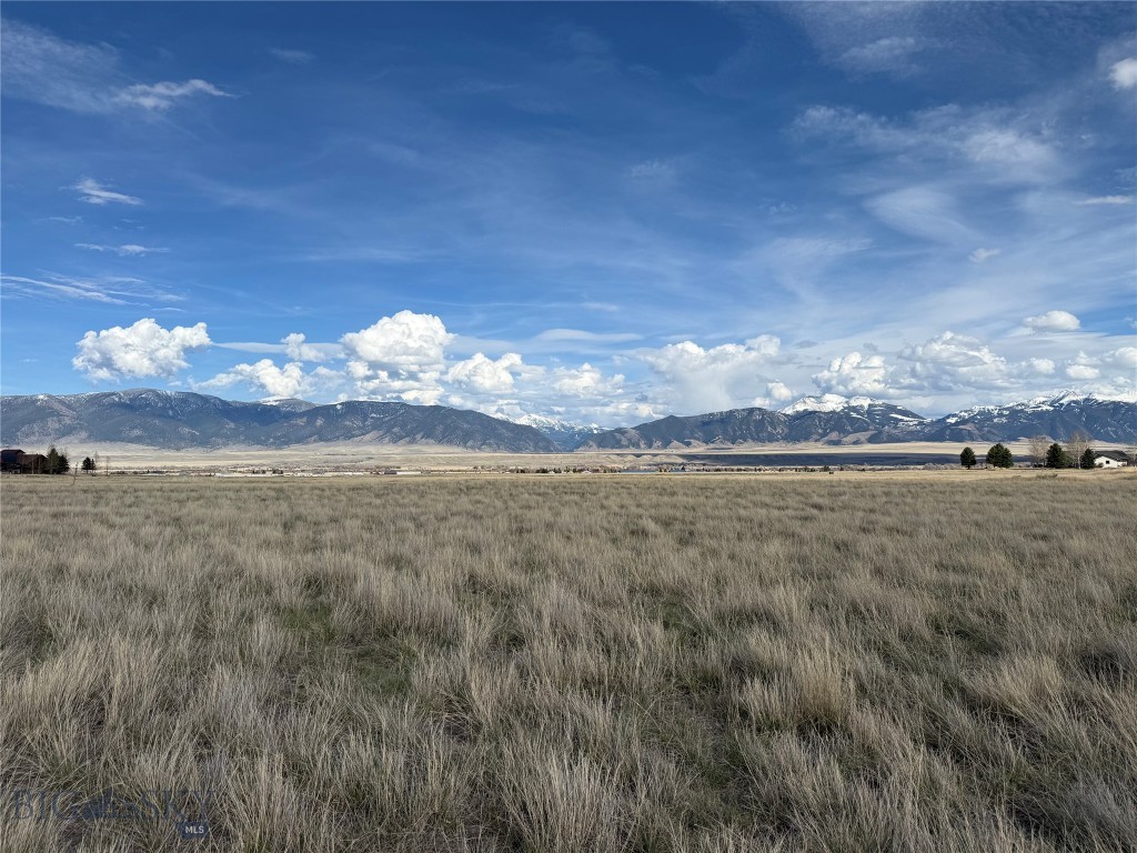 Pintail Ridge Lot 10 Pintail Ridge Road, Ennis MT 59729