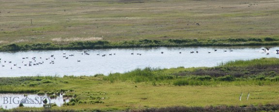 Pintail Ridge Lot 10 Pintail Ridge Road, Ennis MT 59729