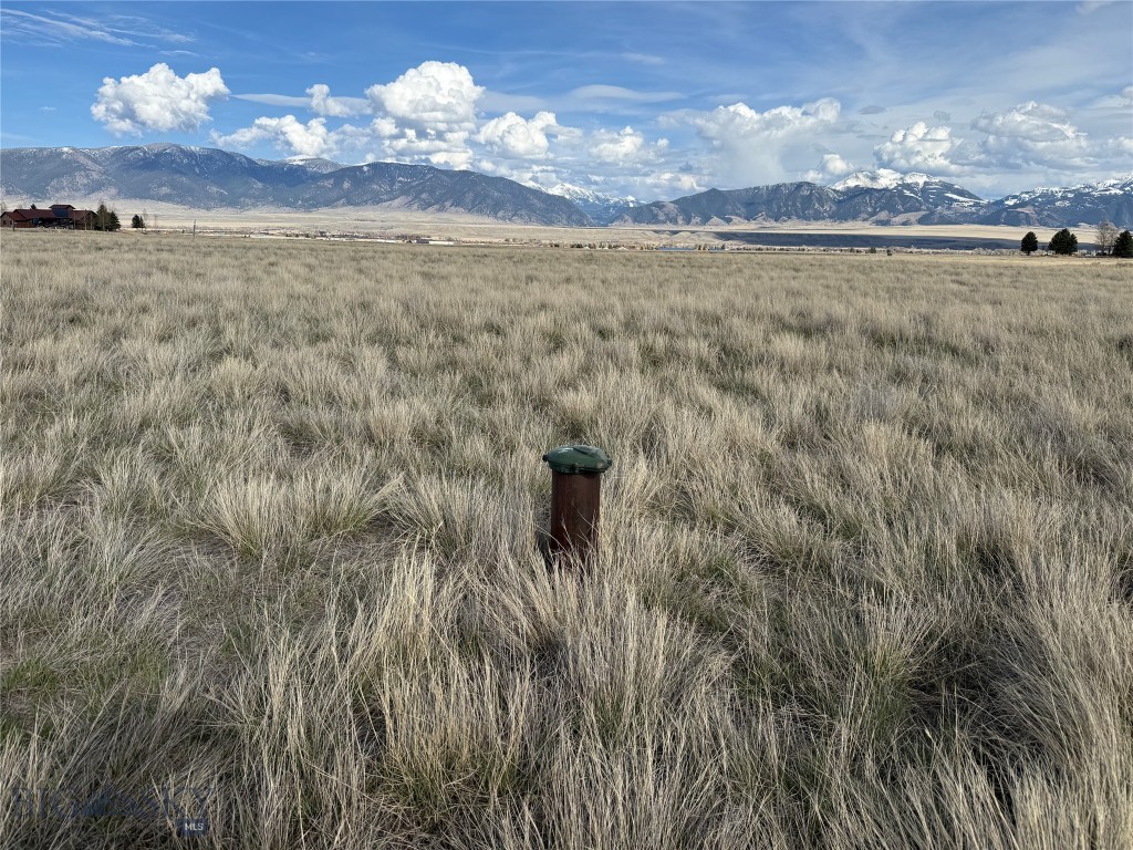 Pintail Ridge Lot 10 Pintail Ridge Road, Ennis MT 59729