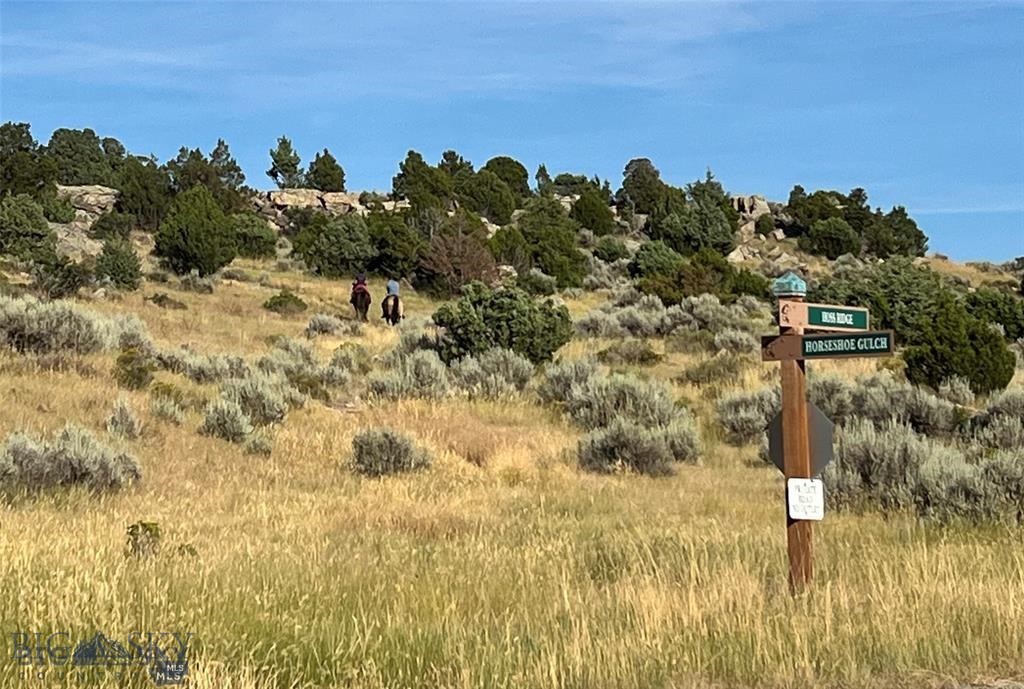 Lot 97 Twin Rivers Cutoff Road, Manhattan MT 59741