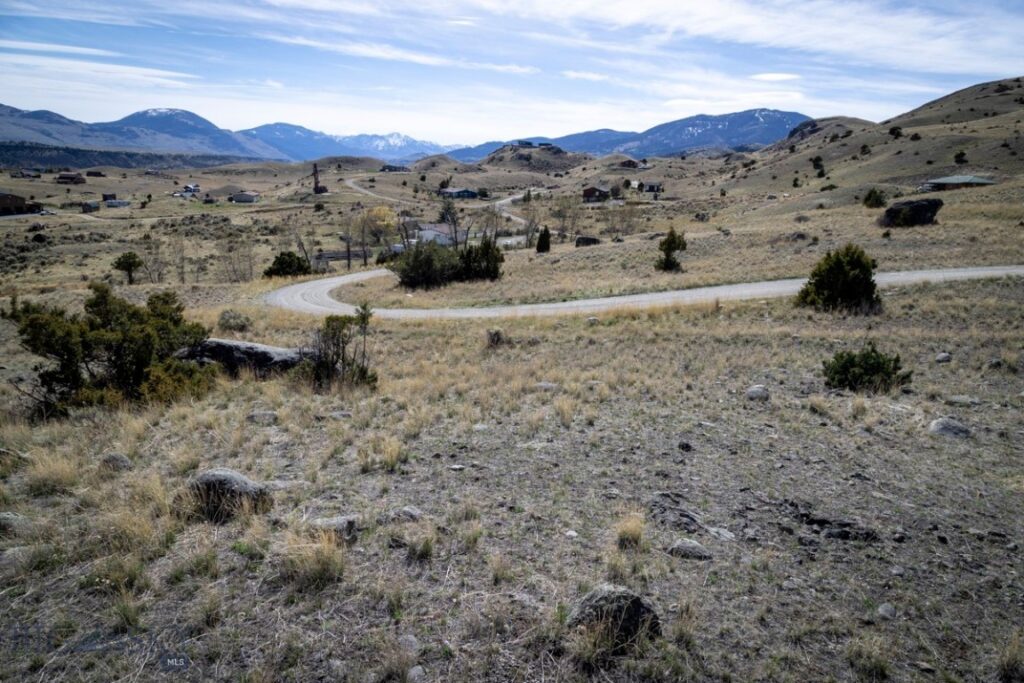 TBD Leo Drive, Emigrant MT 59027