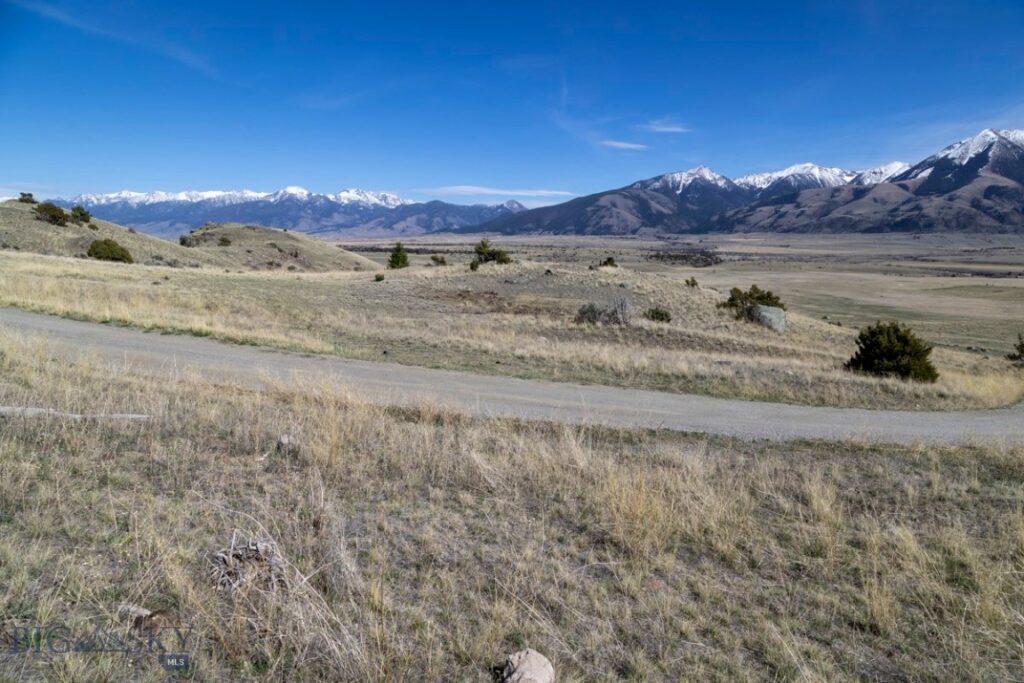 TBD Leo Drive, Emigrant MT 59027