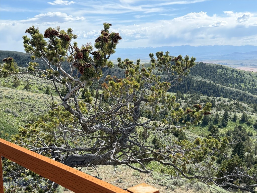 20590 Pole Gulch Road, Three Forks MT 59752
