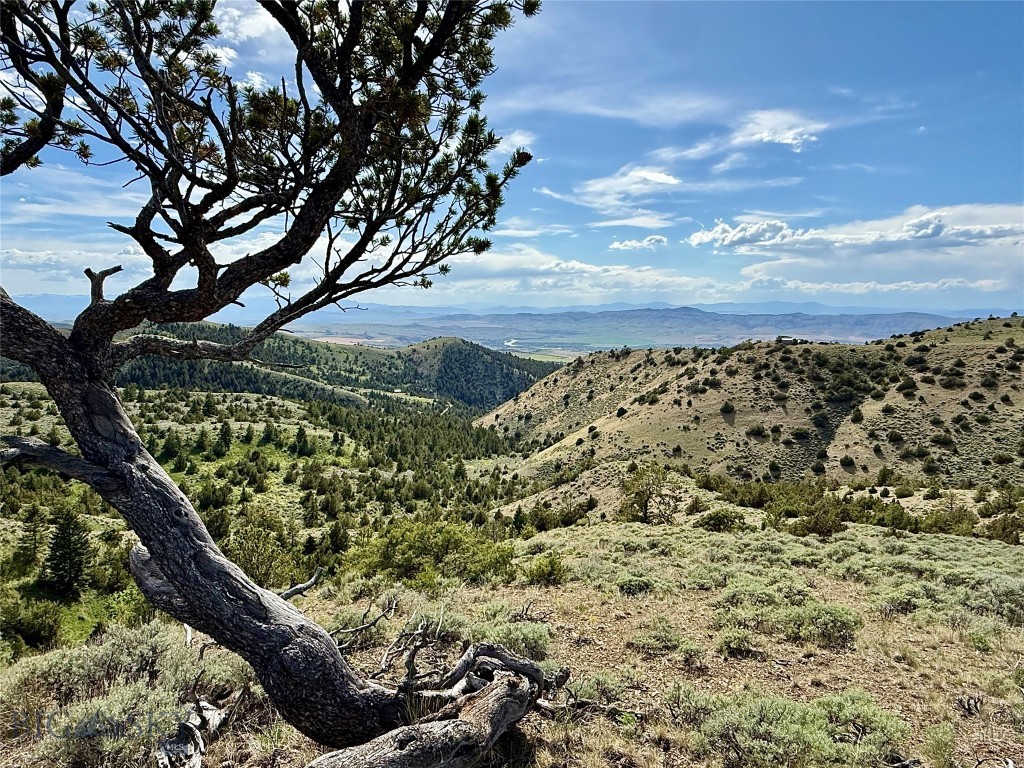 20590 Pole Gulch Road, Three Forks MT 59752