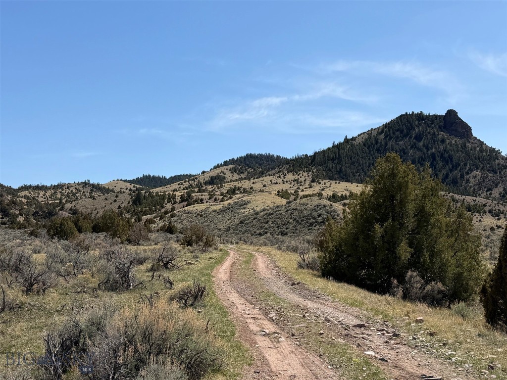 6275 Lower Grasshopper Road, Dillon MT 59725